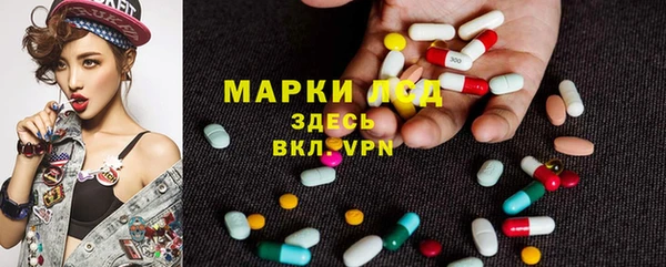 ALPHA-PVP Осинники