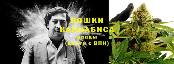 ALPHA-PVP Осинники