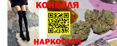 гидра Беслан