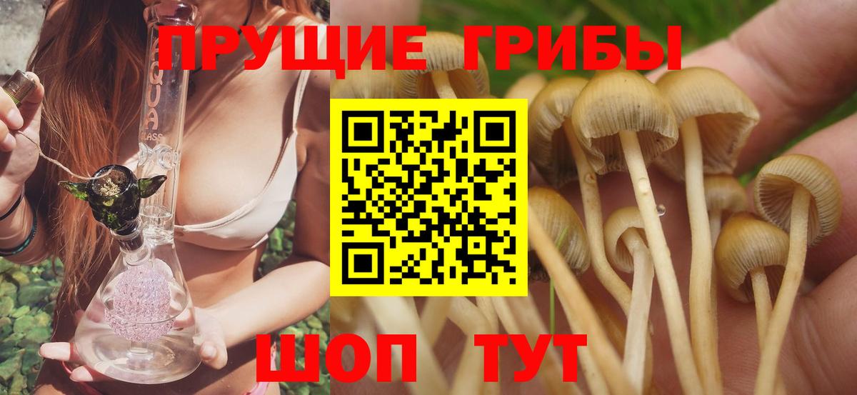 Псилоцибиновые грибы GOLDEN TEACHER Химки