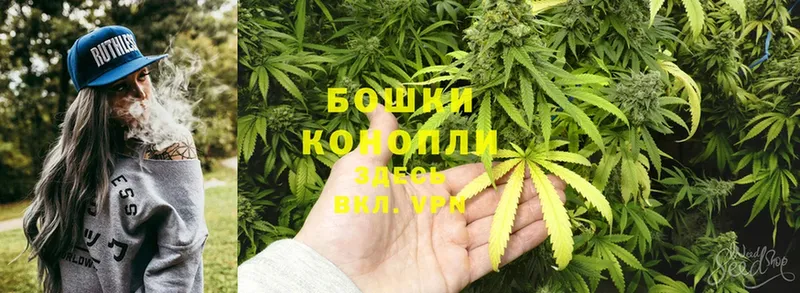 где можно купить наркотик  Химки  Шишки марихуана THC 21% 